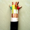 變頻器專(zhuān)用電纜
